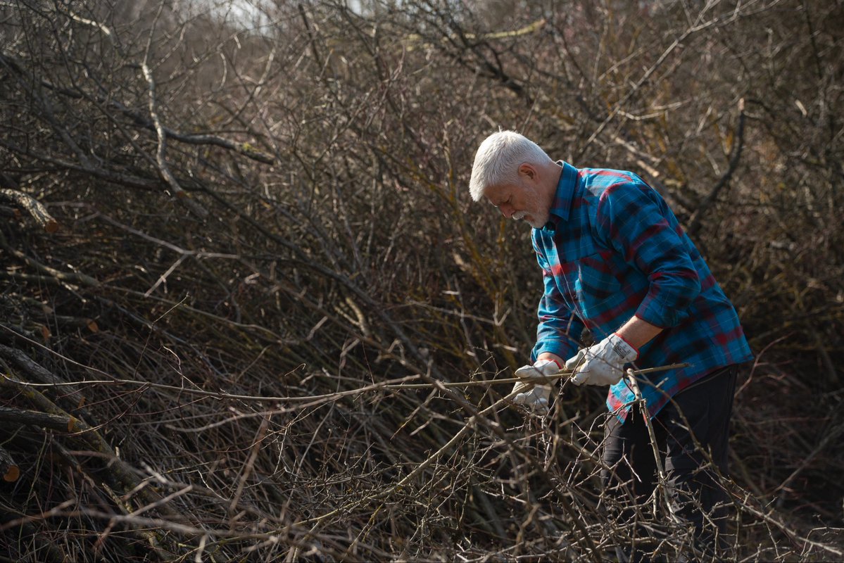 Petr Pavel tweet media