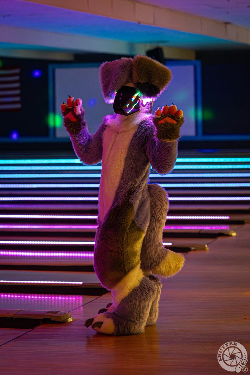 SnowZard 🔜 LVFC tweet media