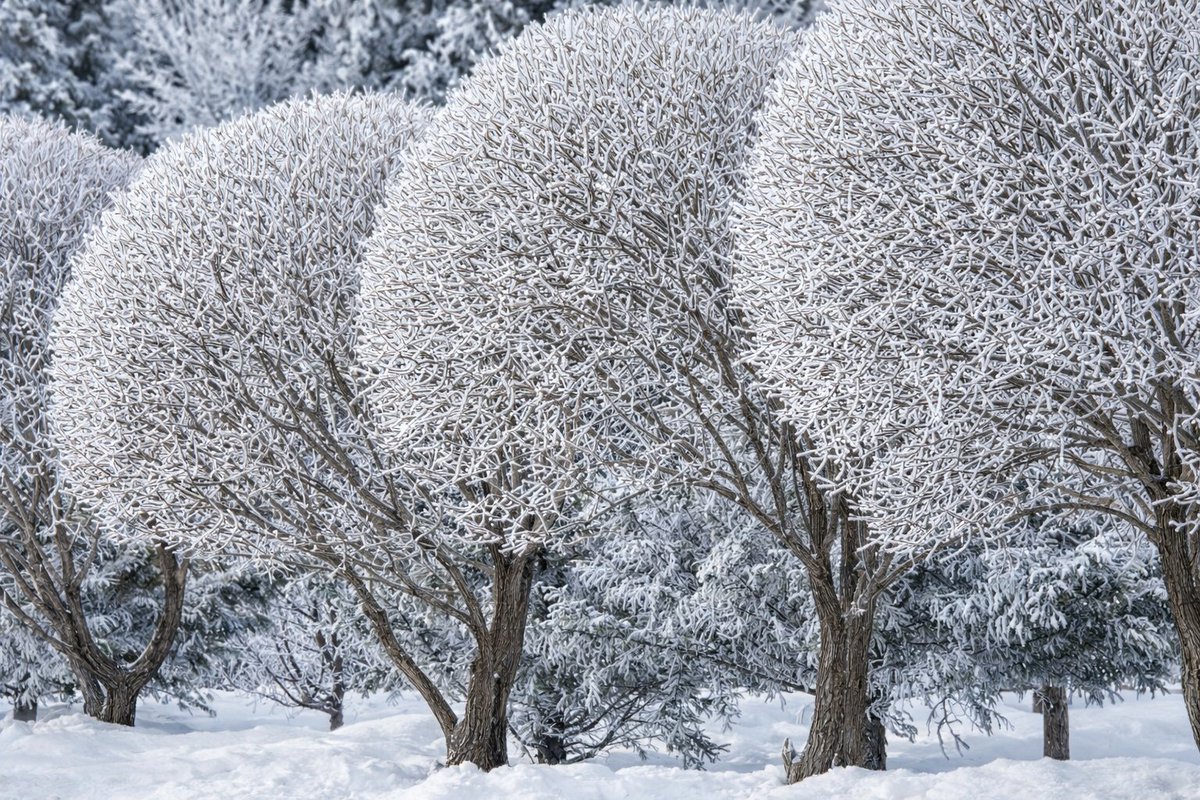 EastKzUK's tweet image. Astana #Kazakhstan #Қазақстан #march2026 #Astana #Астана #springiscoming