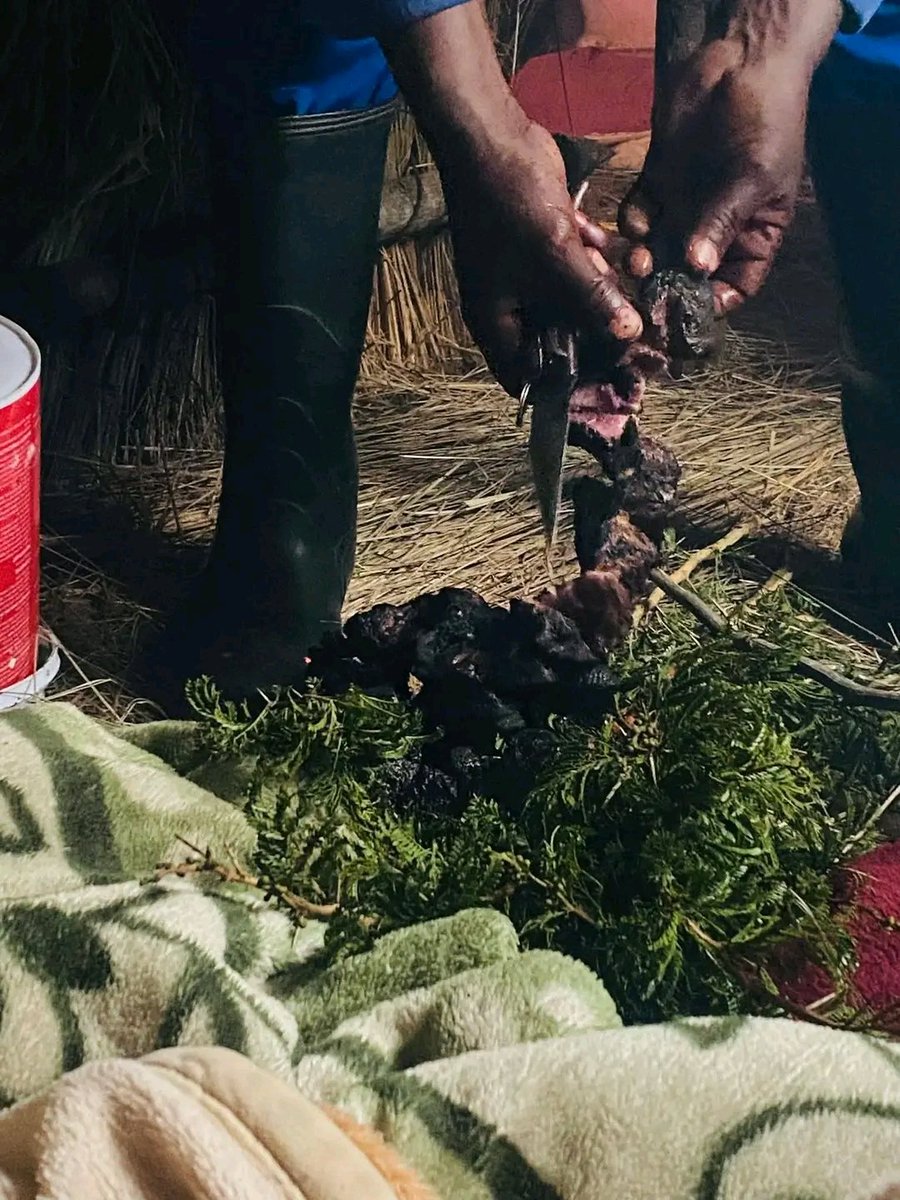 Pro Jileka tweet media