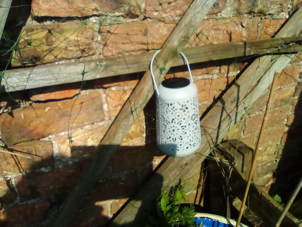 laura watts-fleming in memory of Gabi , Gem🌈 tweet media