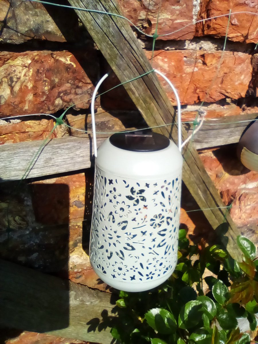 laura watts-fleming in memory of Gabi , Gem🌈 tweet media