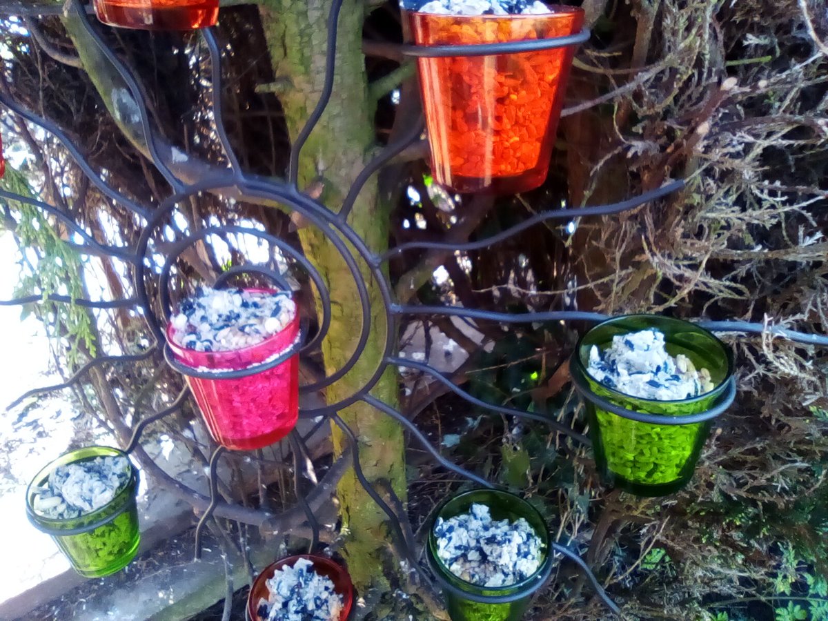 laura watts-fleming in memory of Gabi , Gem🌈 tweet media