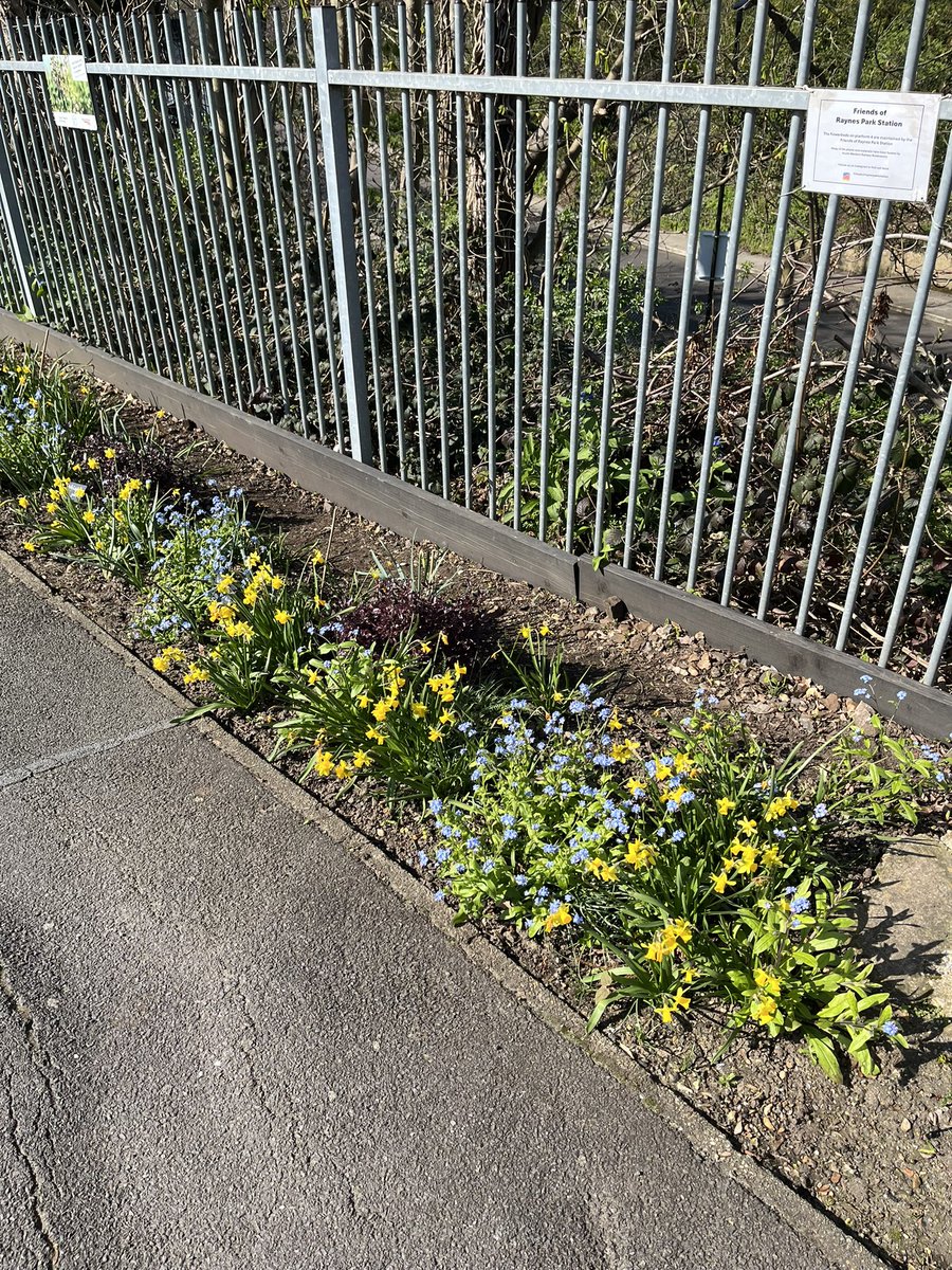 Raynes Park Lib Dems tweet media