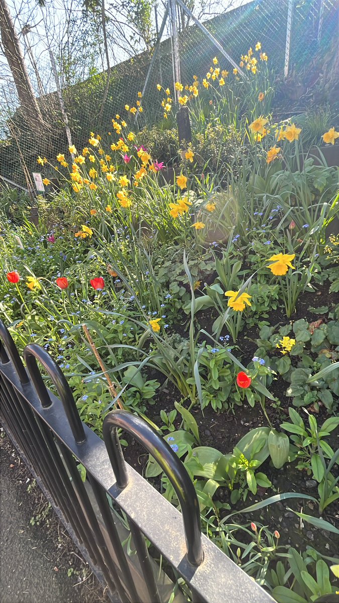 Raynes Park Lib Dems tweet media