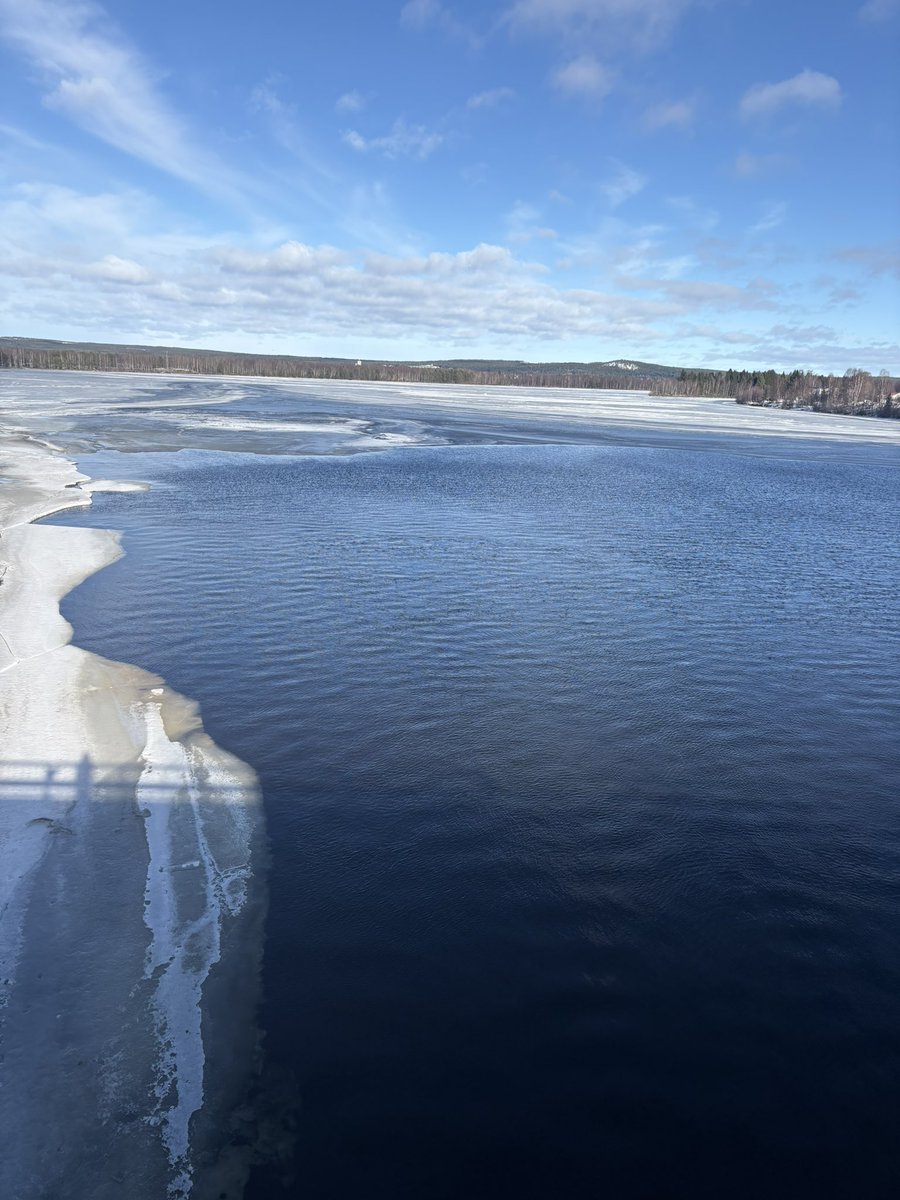 Lance Stroll Fan account ❤️❤️ tweet media
