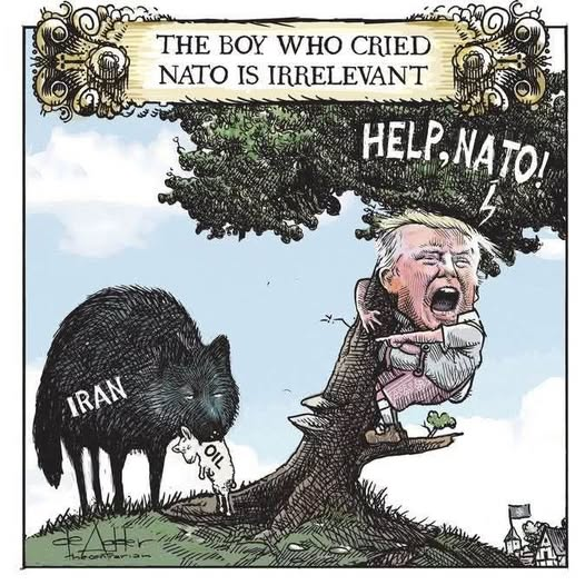 Hal Corley tweet media