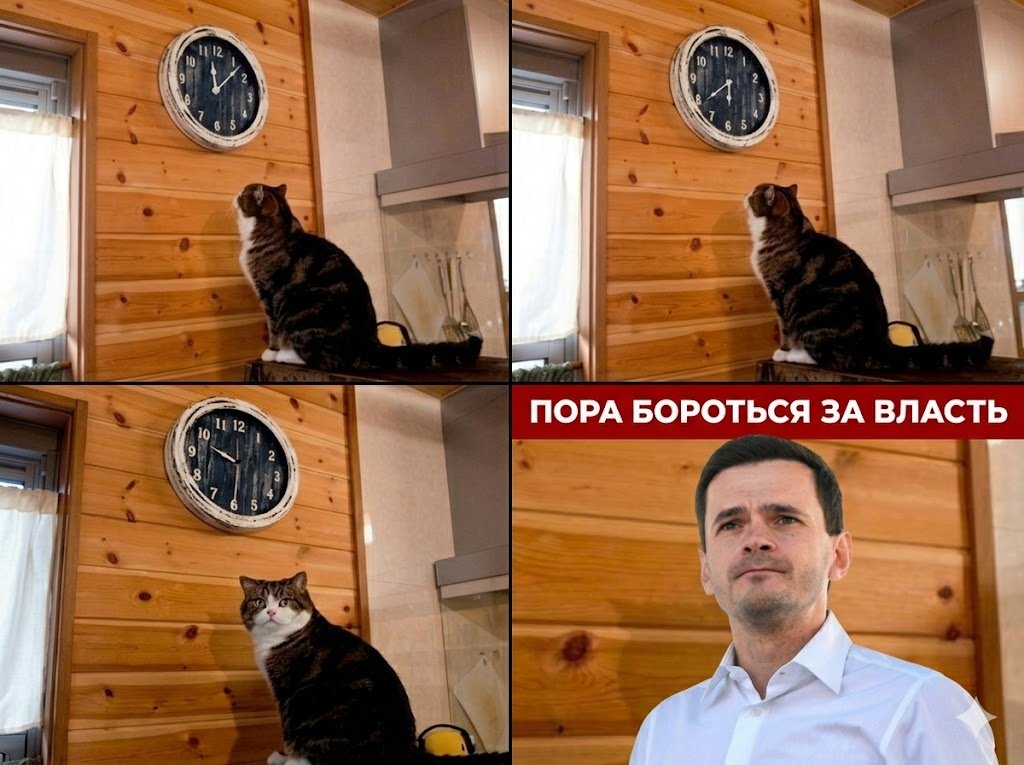 Serhio @ 🦄 tweet media