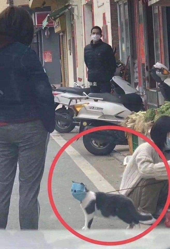 It’s already been seven years since COVID…