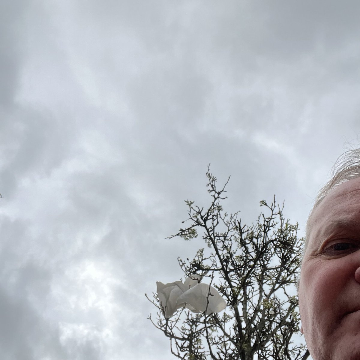 just being m@x tweet media