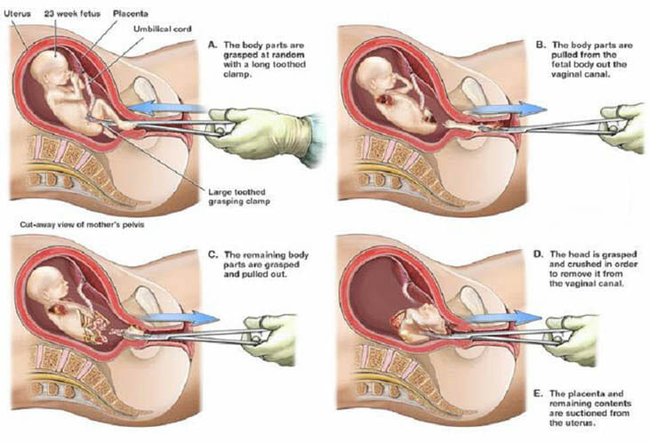 Grupert Lowe 🏴󠁧󠁢󠁥󠁮󠁧󠁿 tweet media