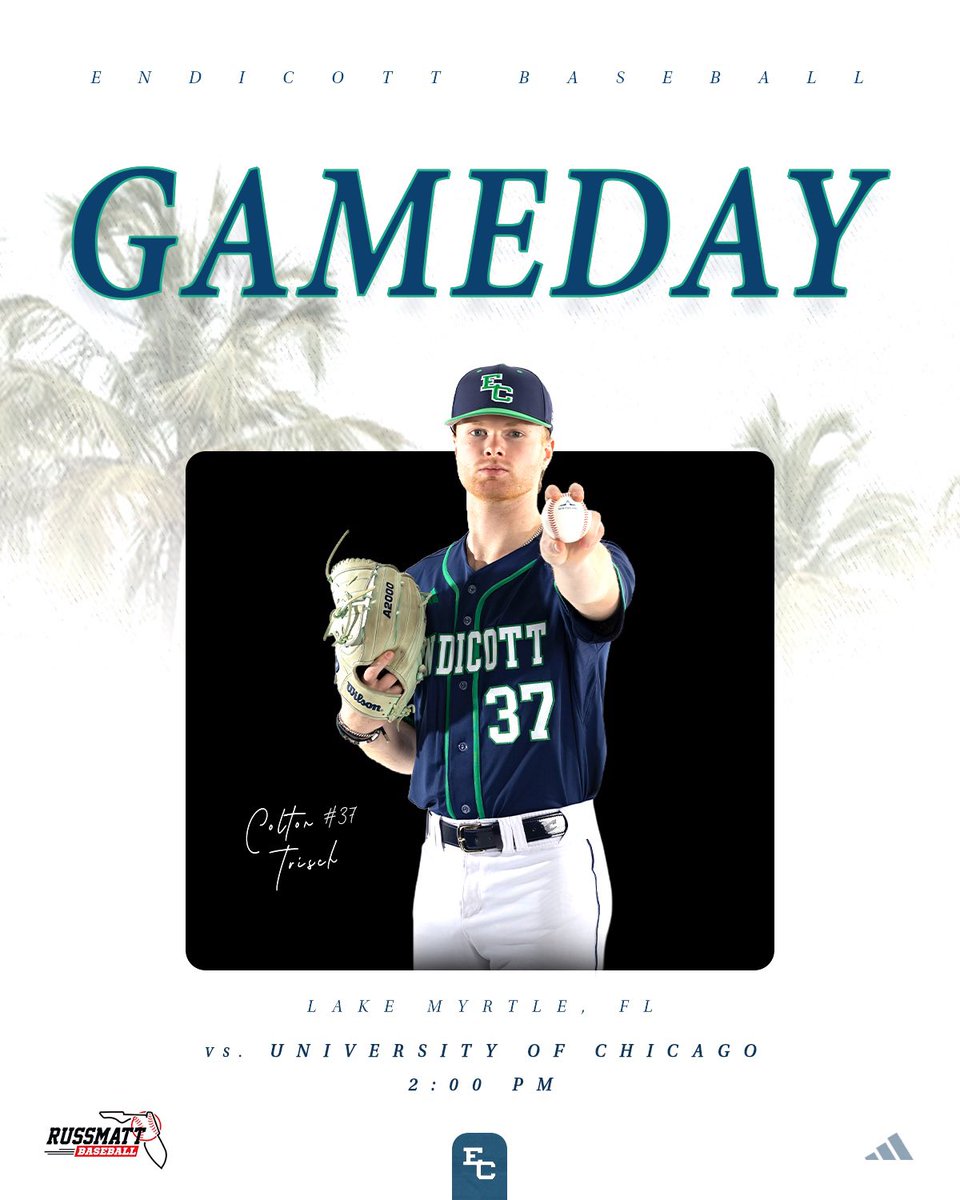 Endicott Baseball tweet media