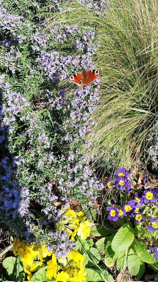 Kate 🏄‍♀️🌊🤙〓〓 tweet media