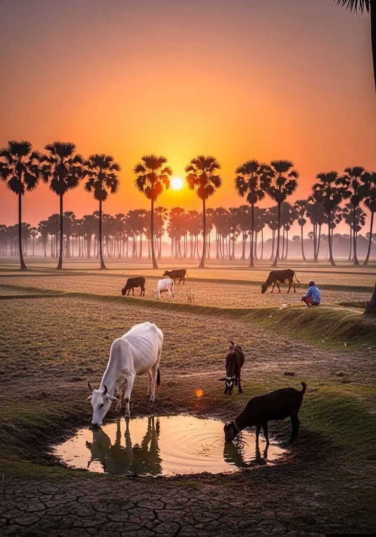 SUMANJAAT143's tweet image. #evening 
#ThursdayMewGulf