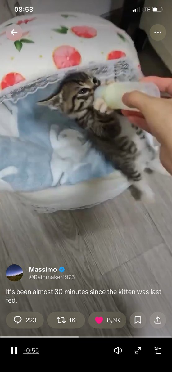 Lady Glam tweet media