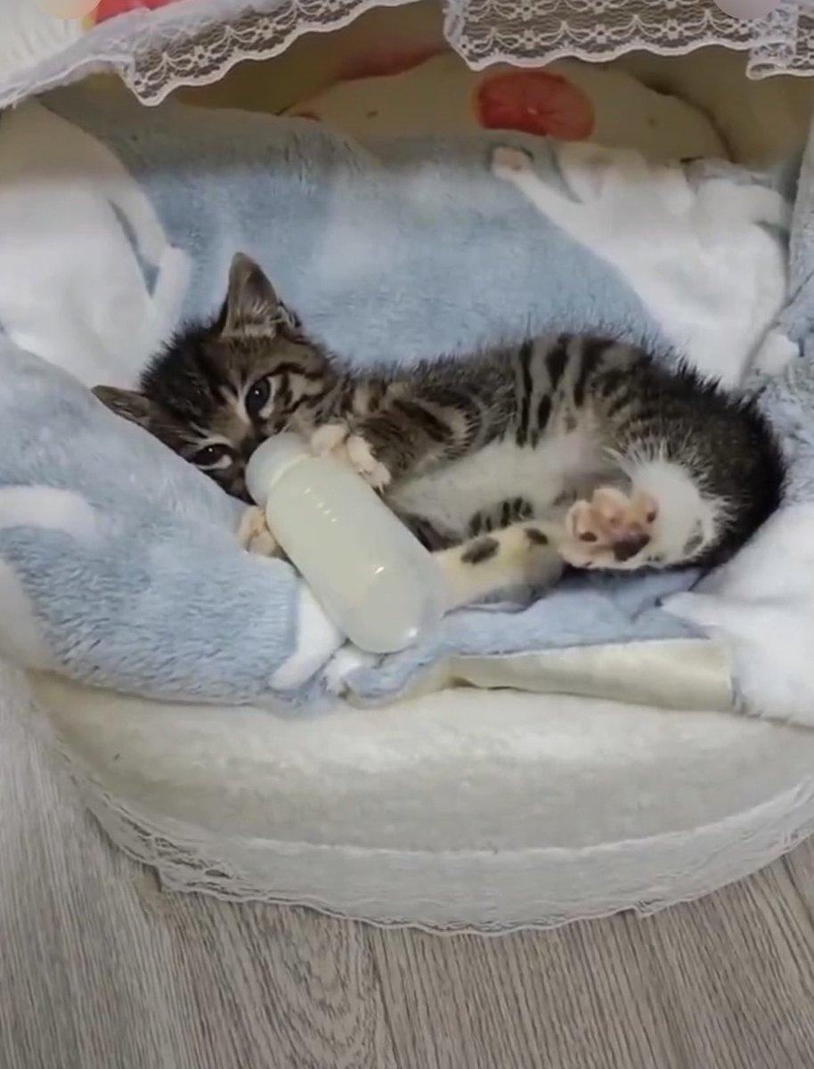 Lady Glam tweet media