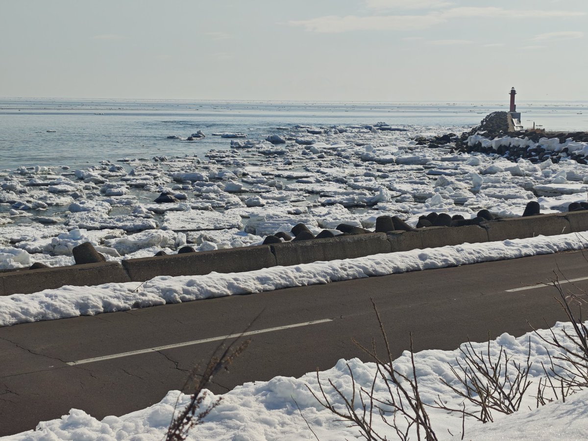 北へ。あき tweet media