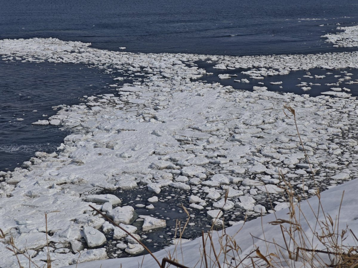 北へ。あき tweet media