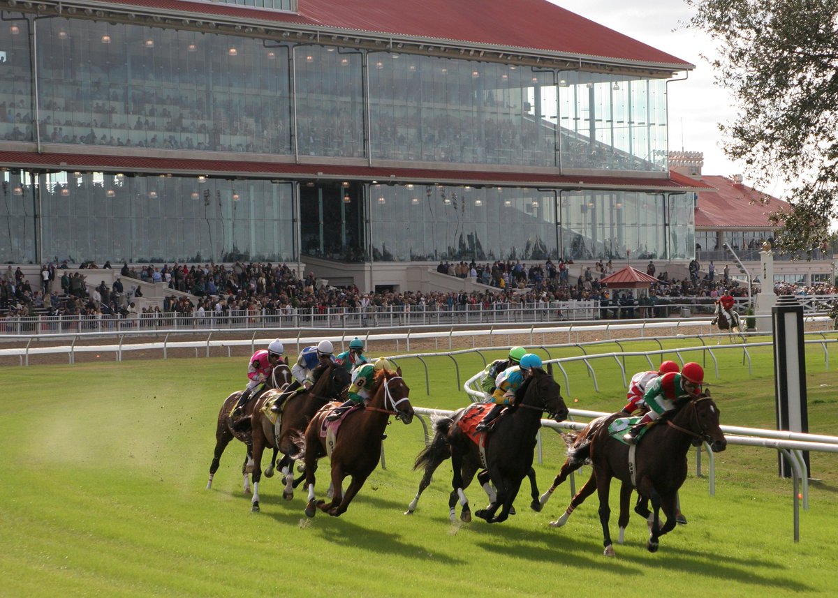 Team Forster tweet media