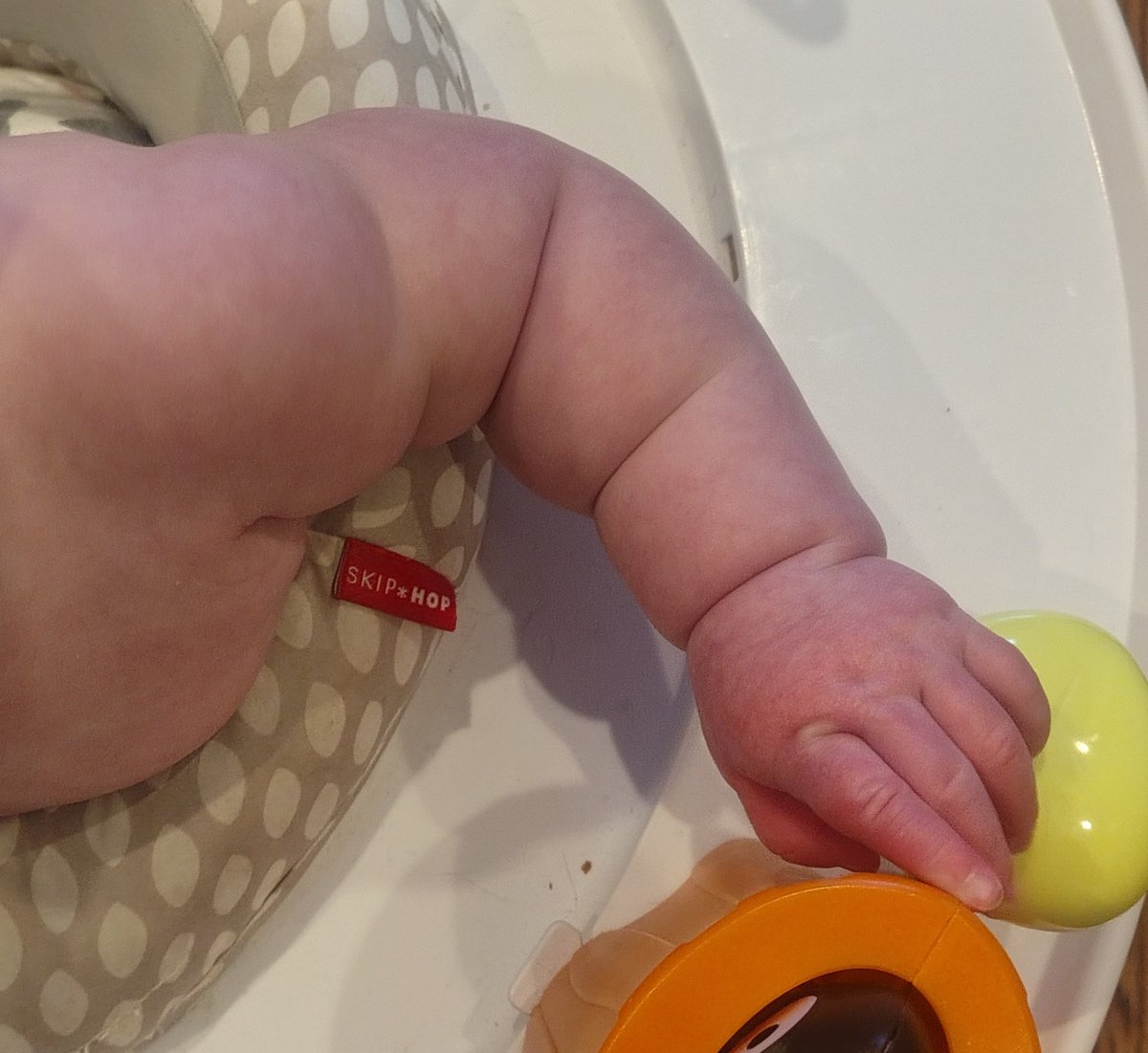 eigenrobot tweet media