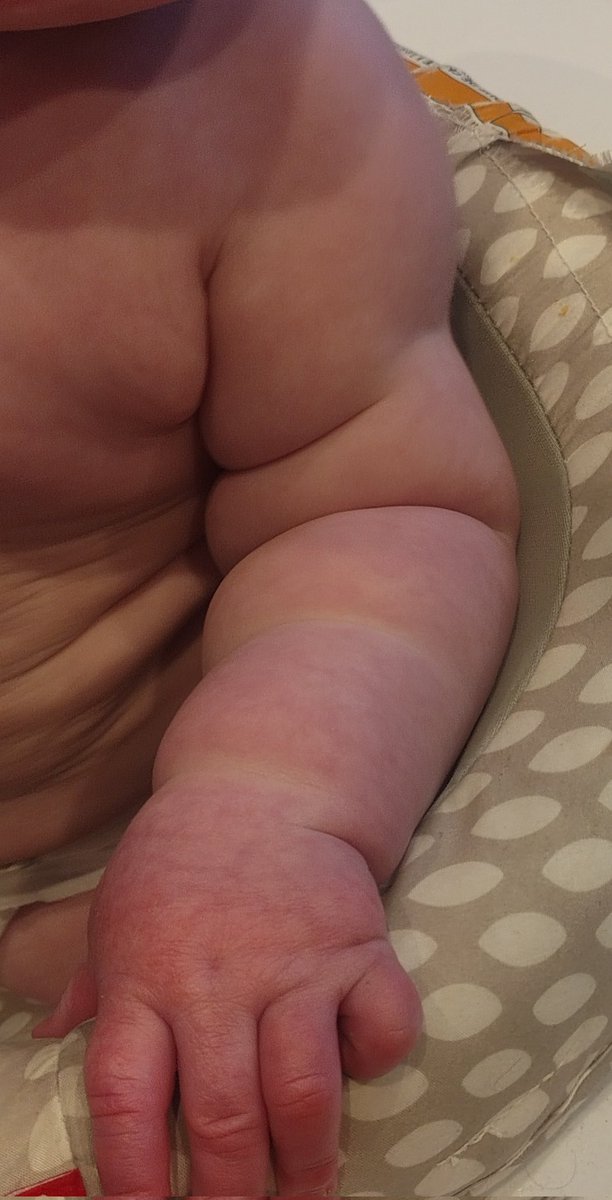 eigenrobot tweet media