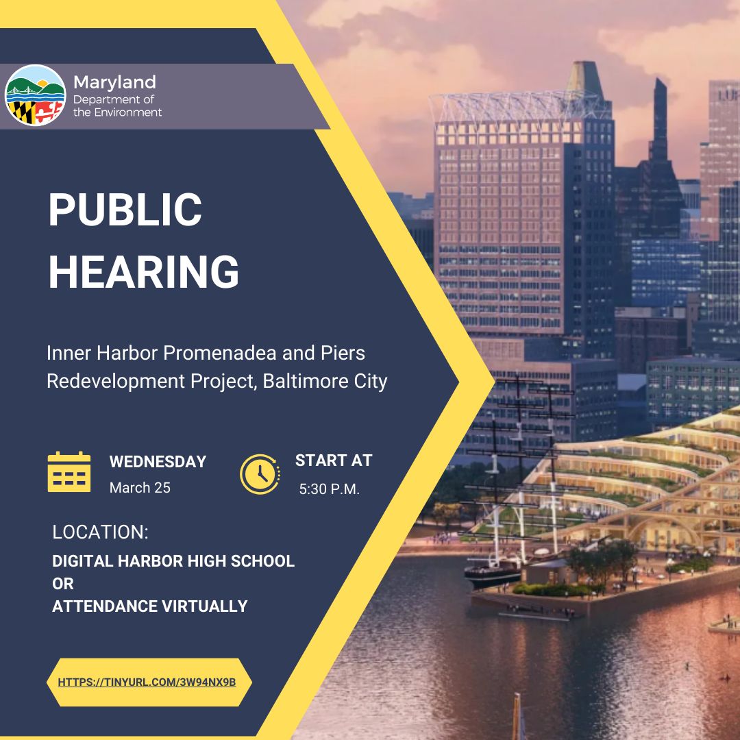 MD Environment tweet media