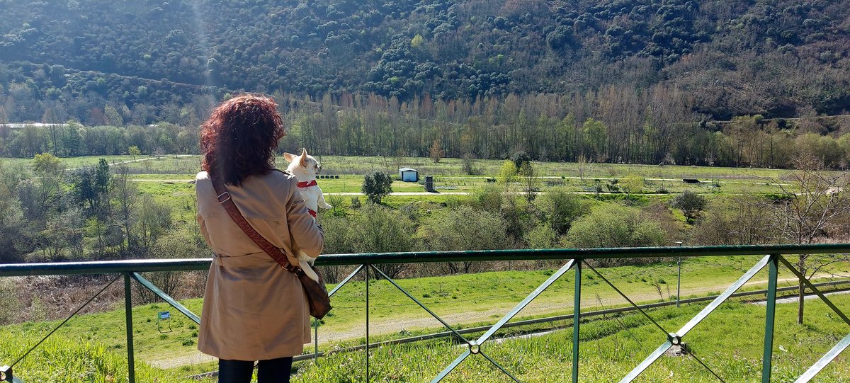 Raquel Villanueva Lorca tweet media