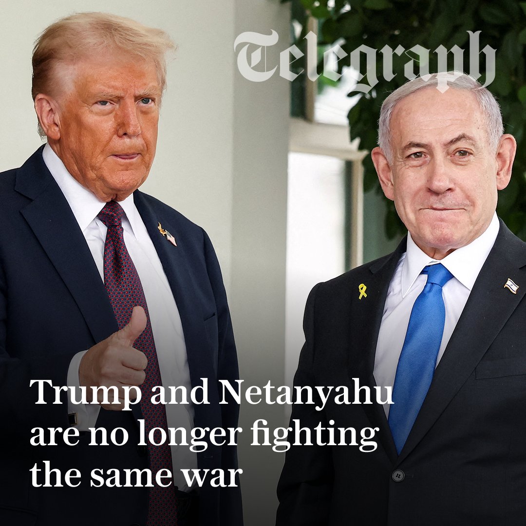 The Telegraph tweet media