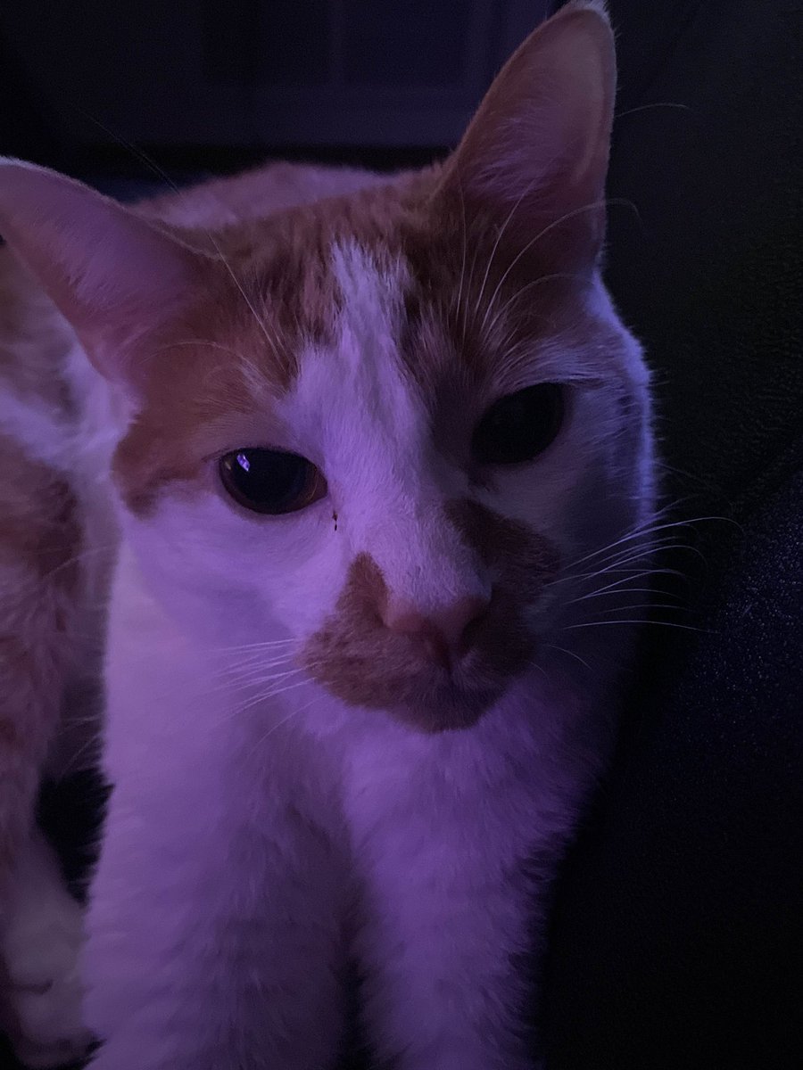 Naomi | GOOD KID ON 4/12... tweet media