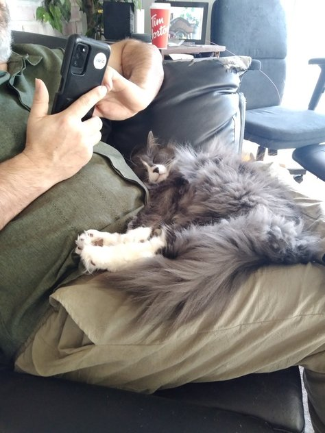 bambam 🇨🇦 tweet media