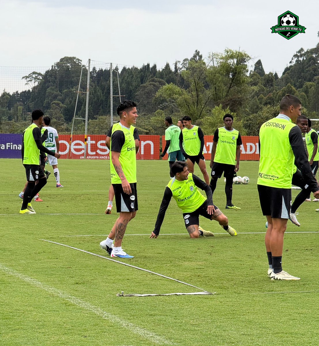 NOTICIAS DEL VERDE tweet media