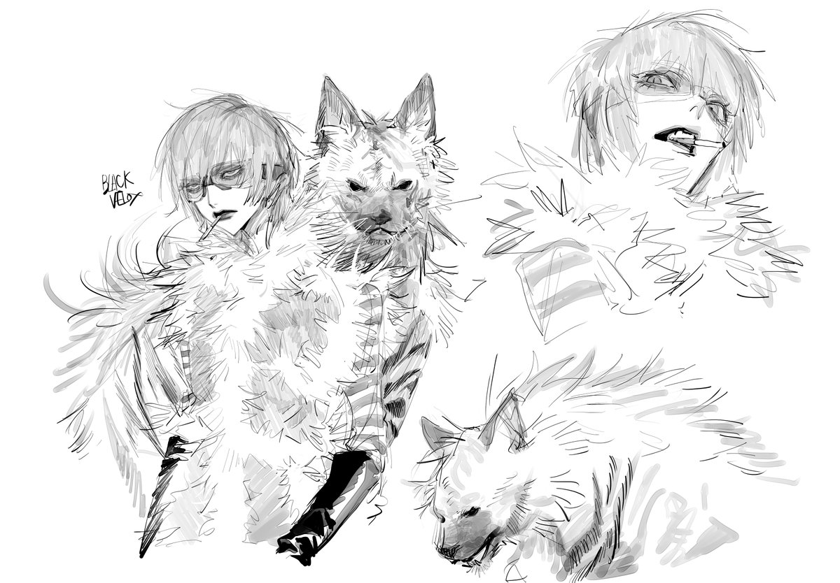 𝐉𝐈𝐋𝐋 tweet media