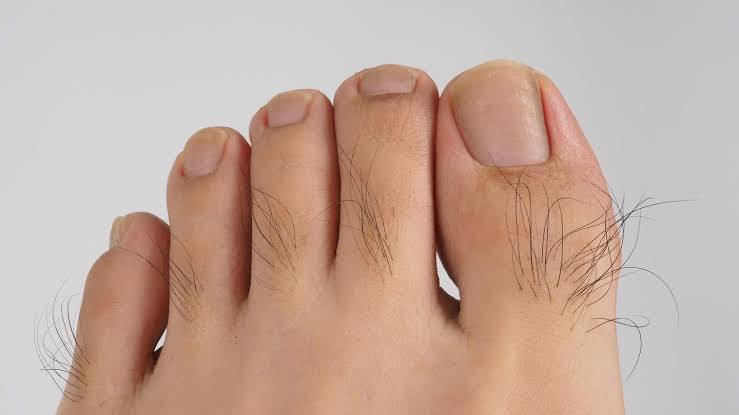 Ninja Wisdom | Self Improvement tweet media