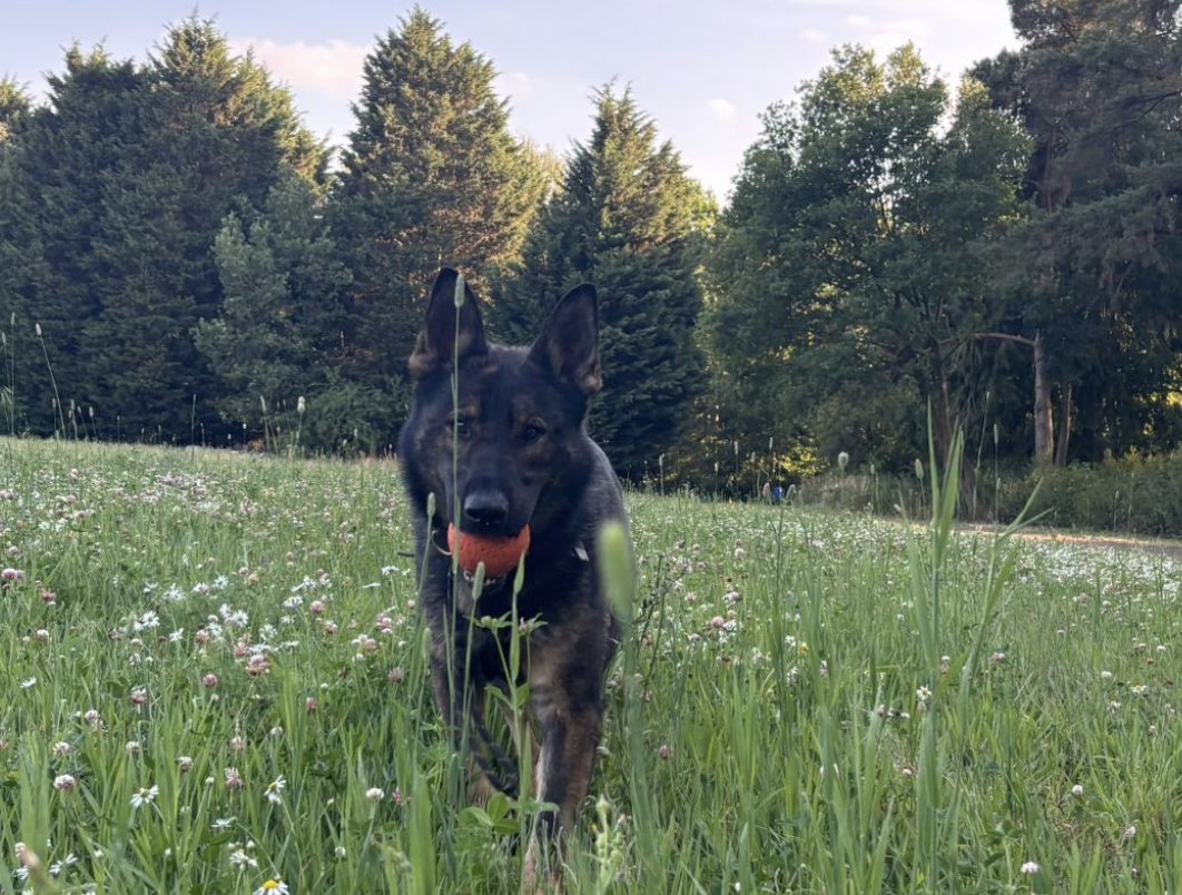 Police Mutual tweet media