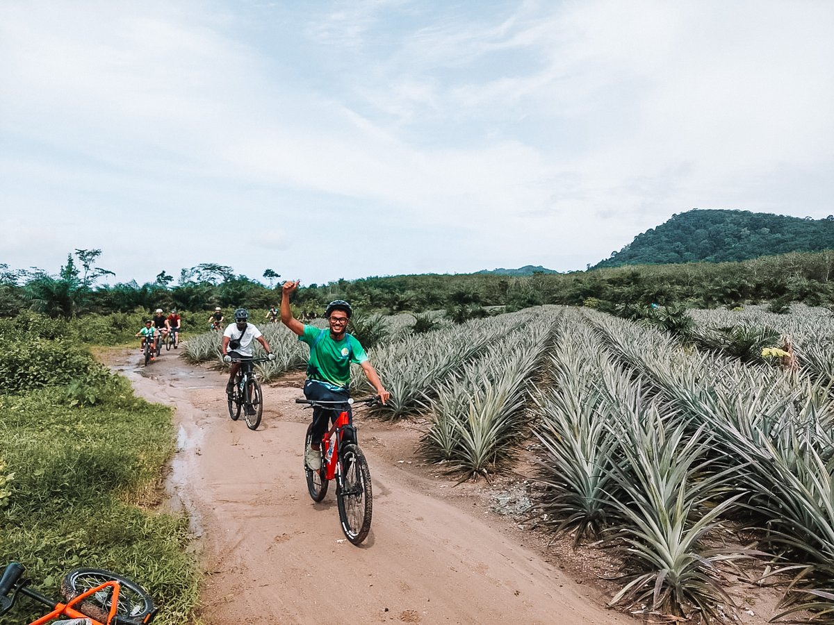 Phuket tip: don’t just see the island, but cycle it! 🚲🇹🇭 #Phuket #BajaBikes #biketour

bajabikes.eu/en/phuket-bike…