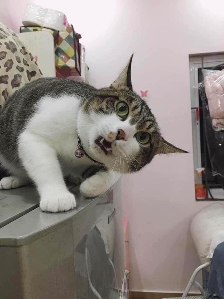 NERI || SLB Teacher🍉 tweet media