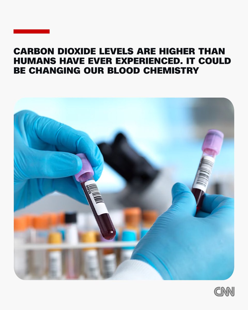 CNN International tweet media