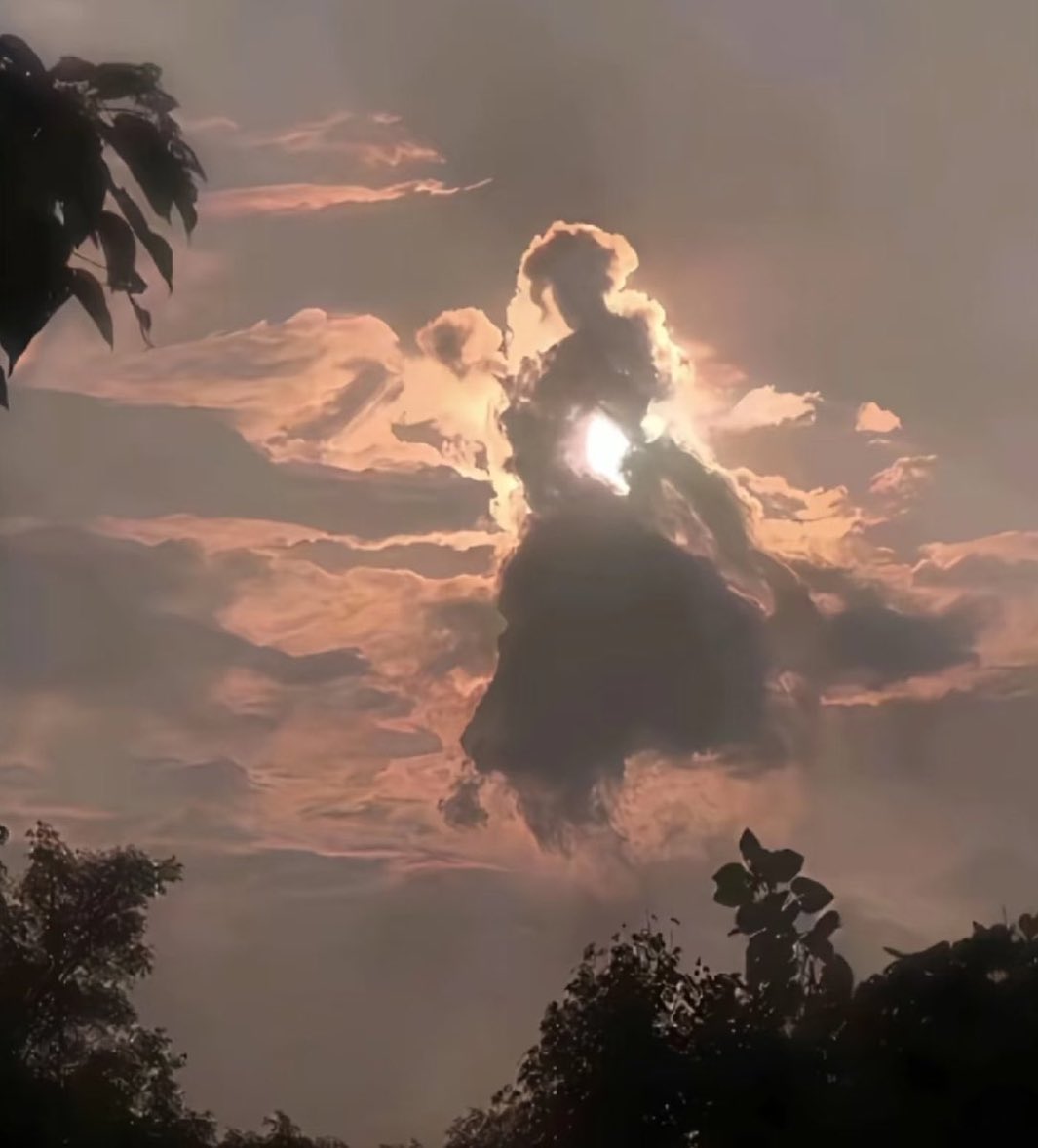 イエス・キリスト tweet media