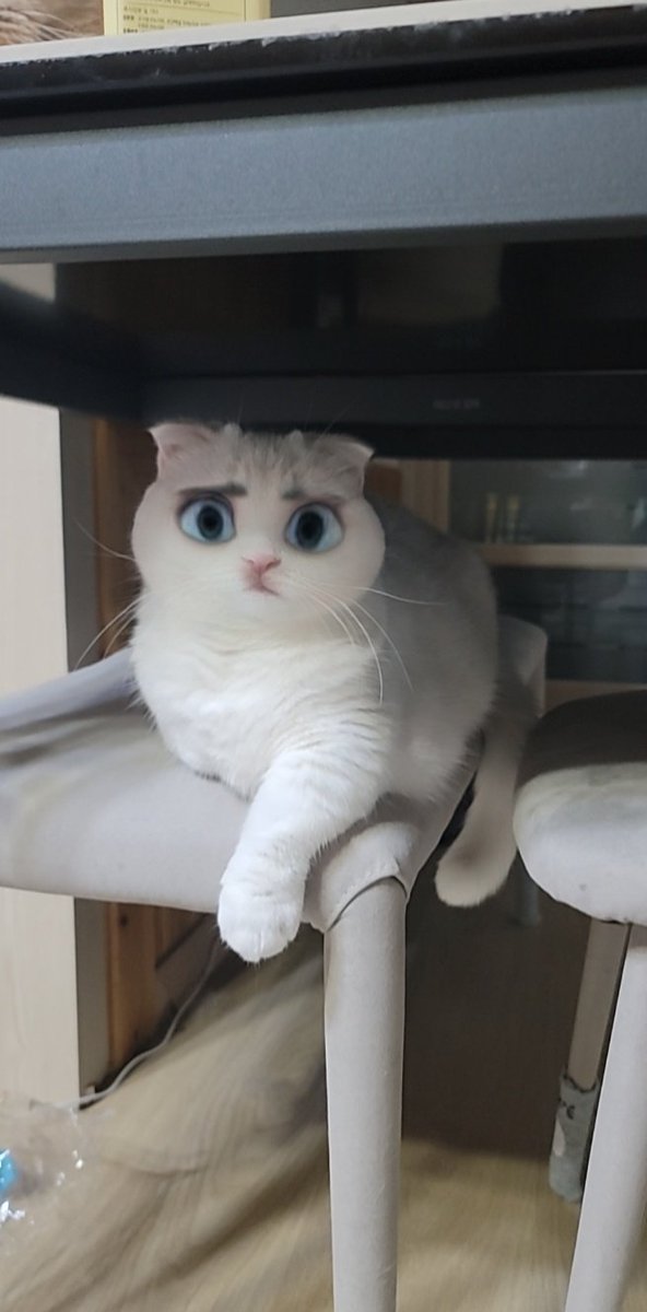 BeginnersChart tweet media