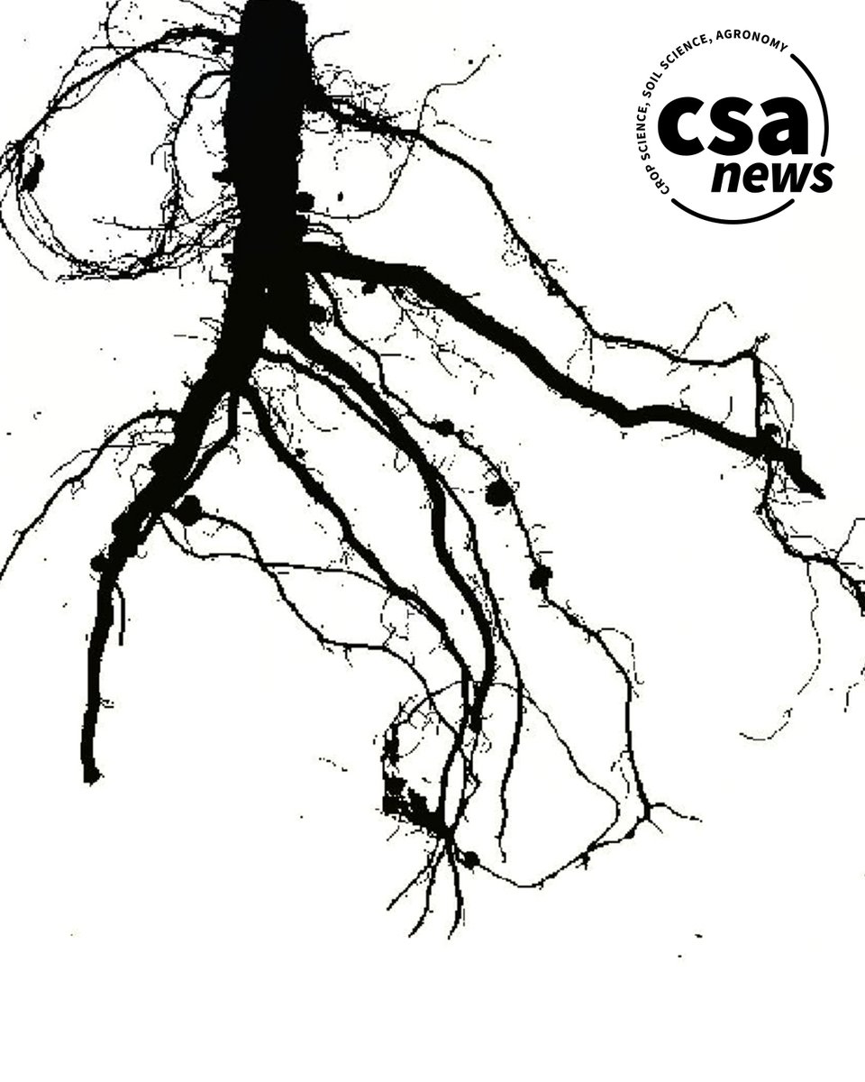 Certified Crop Adviser tweet media