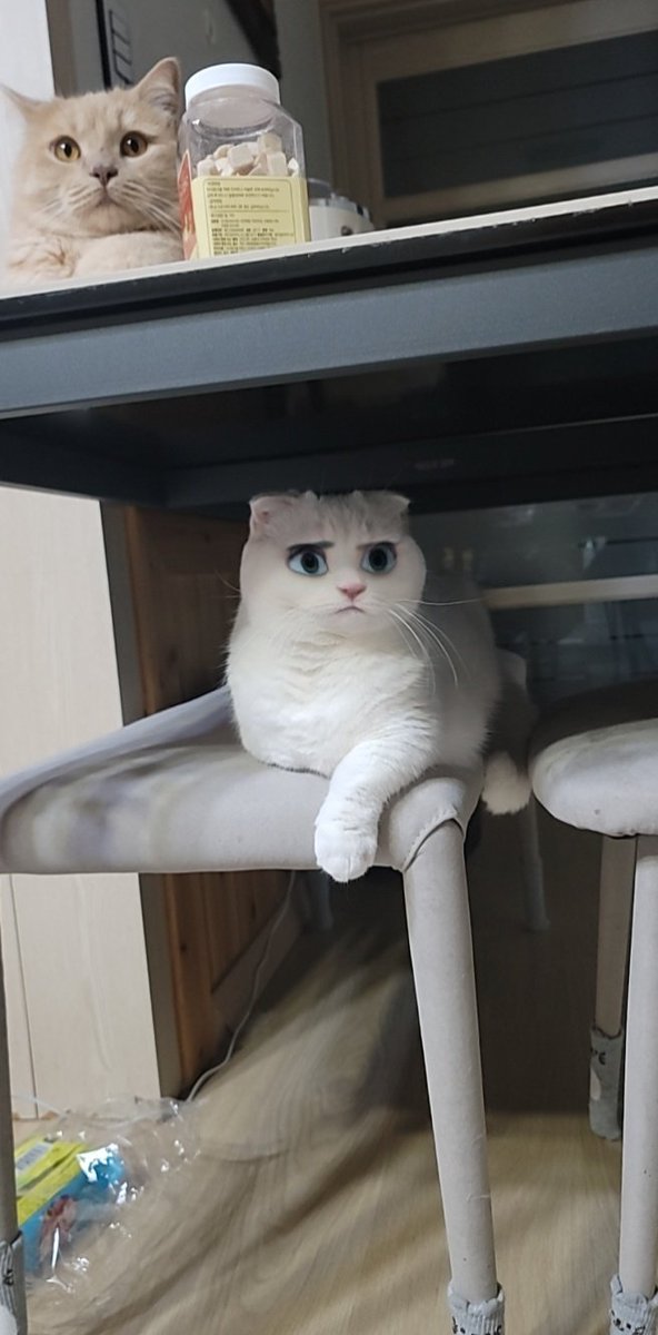 BeginnersChart tweet media