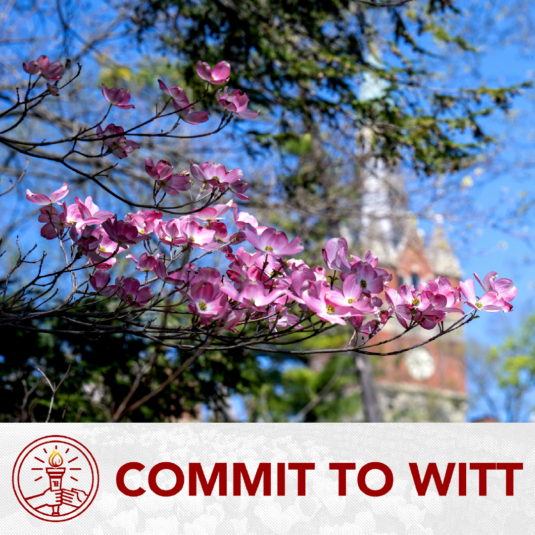 wittalumni's tweet photo. During #Commit2Witt, you can help support Wittenberg with a gift to The Wittenberg Fund. The fund supports the area of greatest need on campus and directly impacts each of our students on a daily basis. https://t.co/Egf4sSG6v8
#WittAndYou #WittProud #TigerUp https://t.co/uignT53ZDP