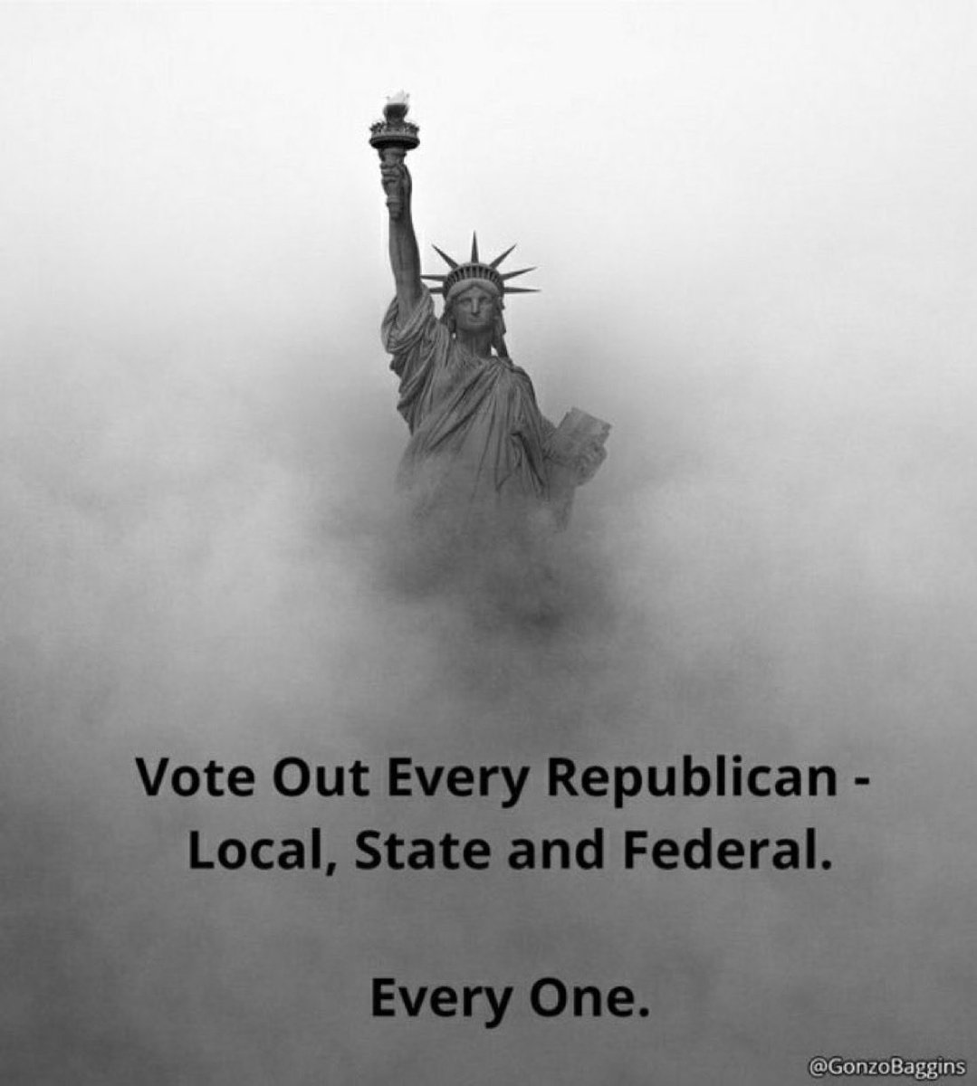 Trump 2.0. “Make Fraud Great Again!”
#VoteEveryRepublicanFuckerOut