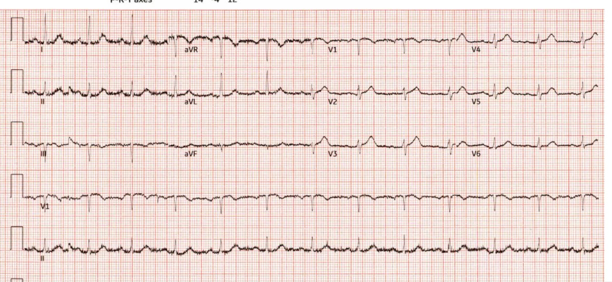 Stephen W. Smith tweet media
