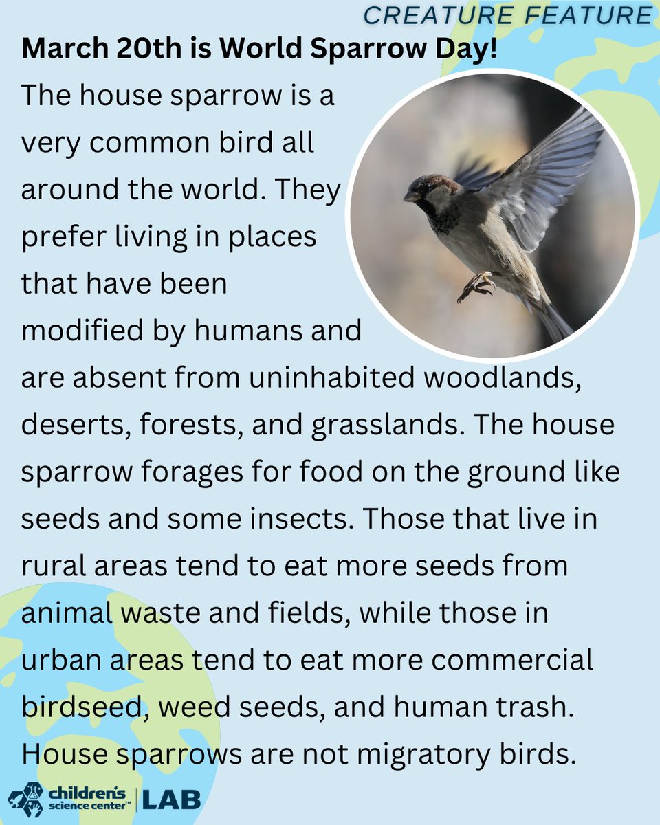 ChildrensSciCenter tweet media