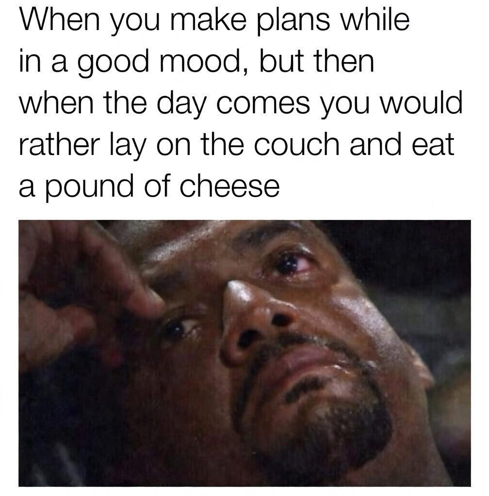 GnosisWolf tweet media