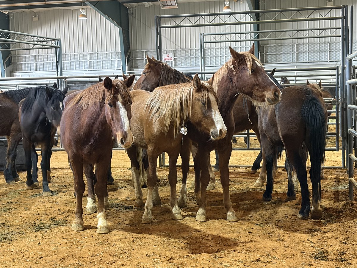 Bureau of Land Management - Eastern States tweet media