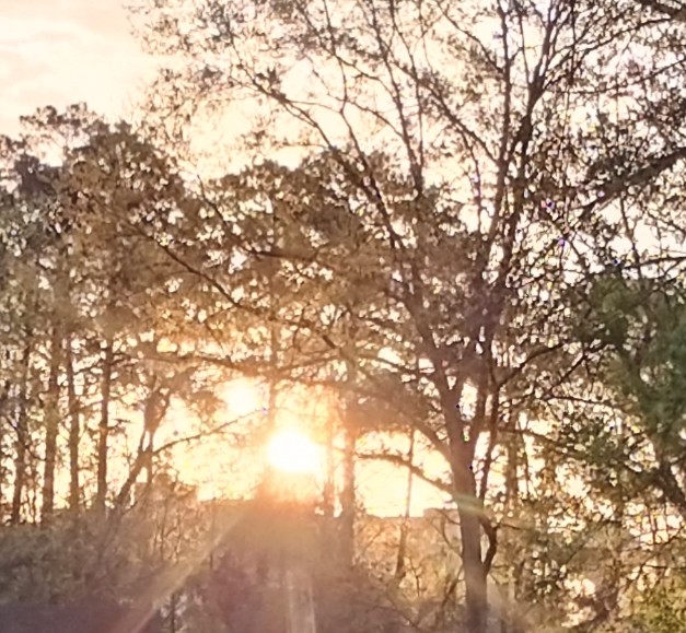 Captain Jerry tweet media