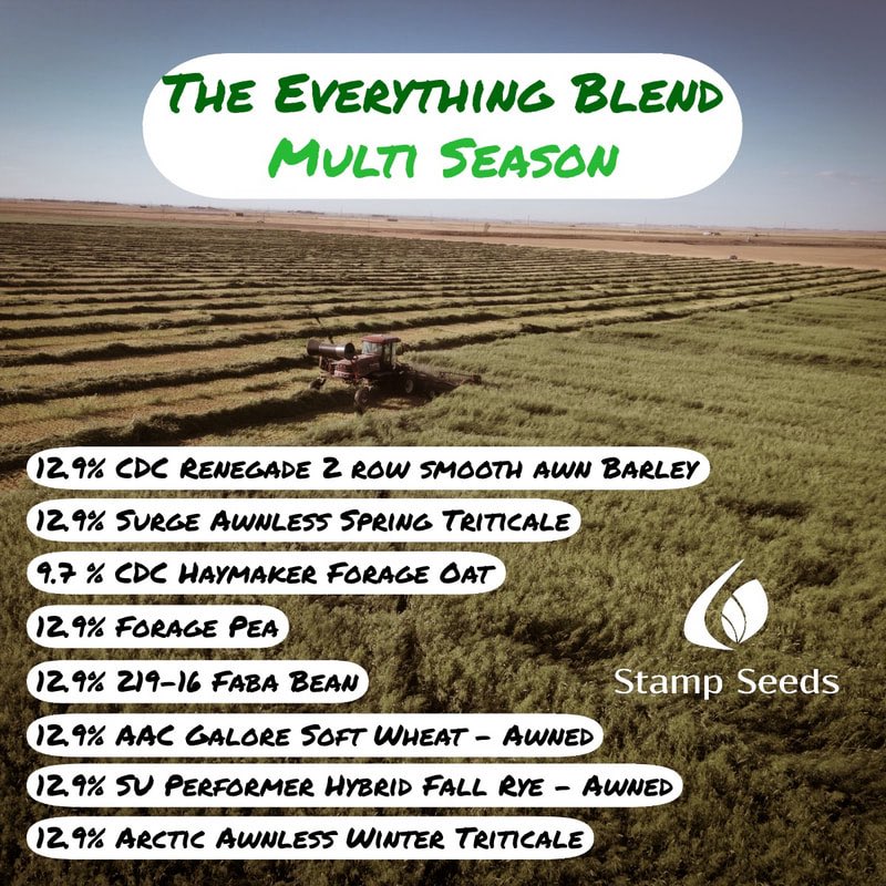 Greg Stamp tweet media