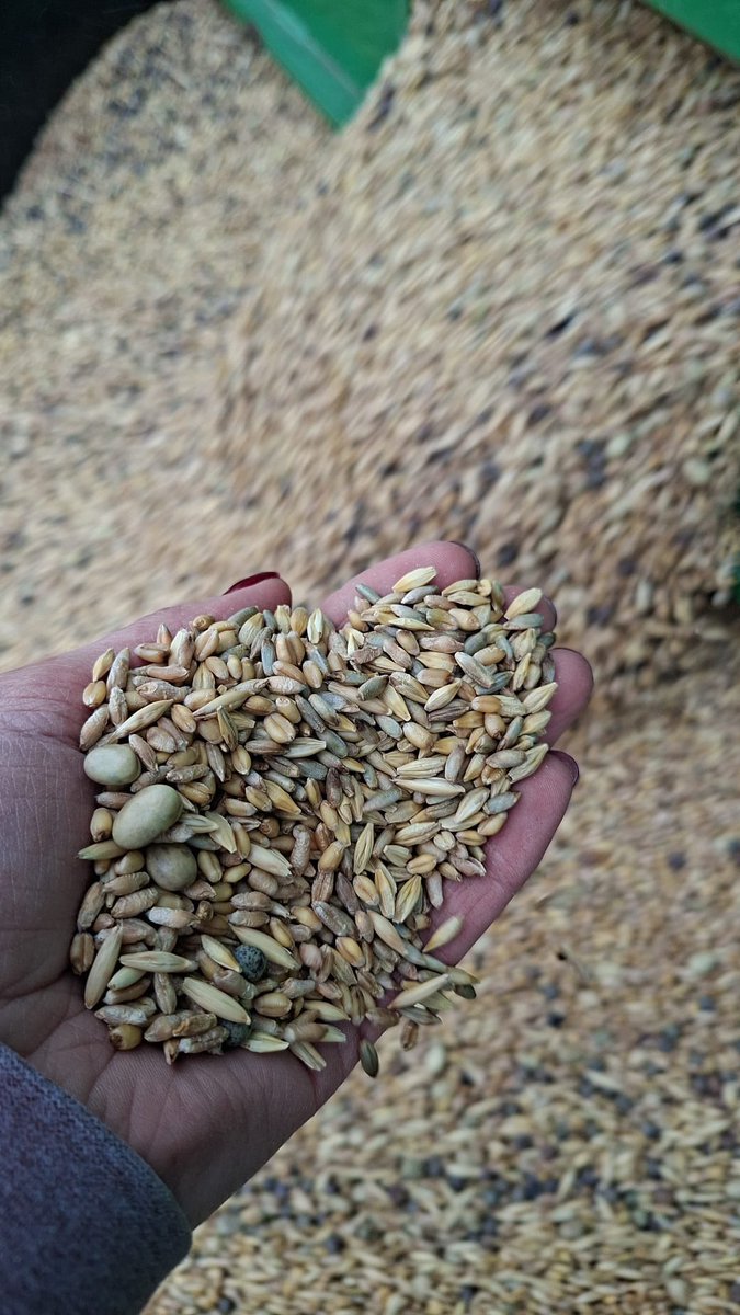 Greg Stamp tweet media